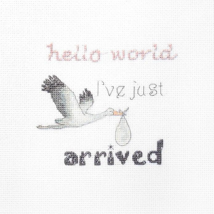 Counted Cross Stitch Kit A gift for a newborn Leti931