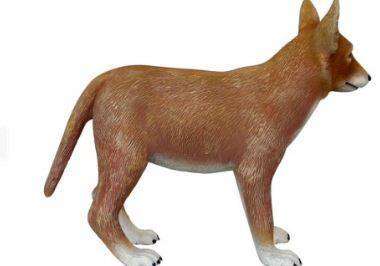Coyote Puppy Life Size Statue