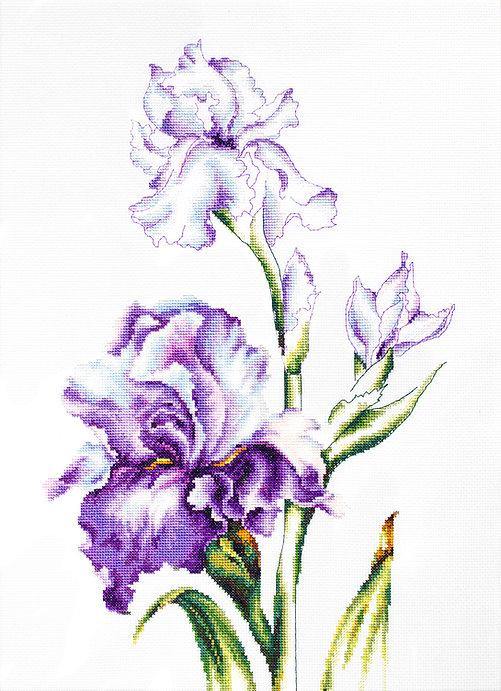 Irises B2251L Counted Cross-Stitch Kit