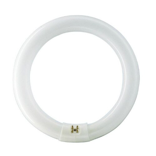 PHILIPS 32W 12in. 4000K Cool White G10q Circline Fluorescent Light Bulb