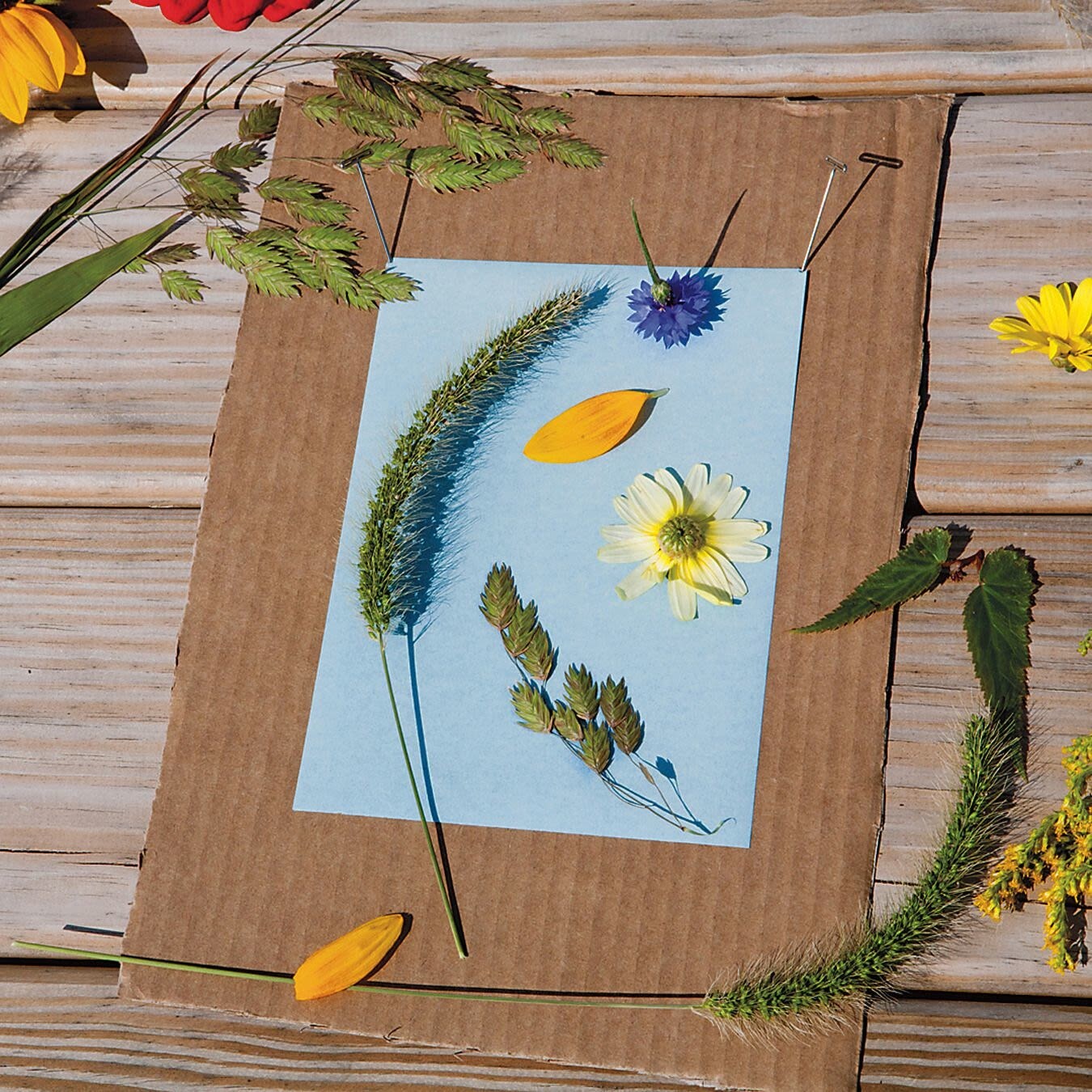 Nature Print&#xAE; Paper, 5&#x22; x 7&#x22; (Pack of 30)