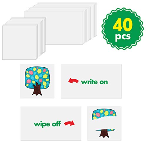 Calendar and Weather Pocket Chart with 148 Cards 108 Illustrated Activity Cards 40 Dry Erasable Flash Cards and 3 Hooks 28 x 35.5 Inches