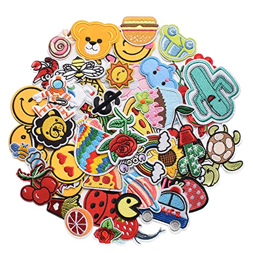 Harsgs 60pcs Random Assorted Styles Embroidered Patches, Bright Vivid  Colors, Sew On/Iron On Patch Applique for Clothes, Dress, Hat, Jeans, DIY