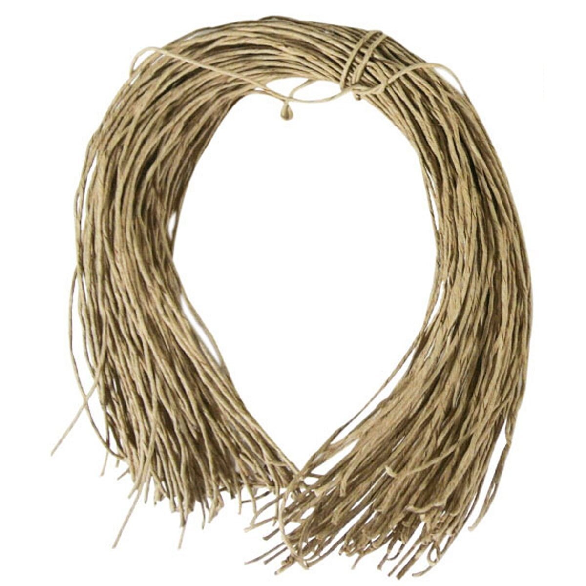 Wrapables 50 Gift Tags/Kraft Hang Tags with Free Cut Strings for Gifts, Crafts & Price Tags