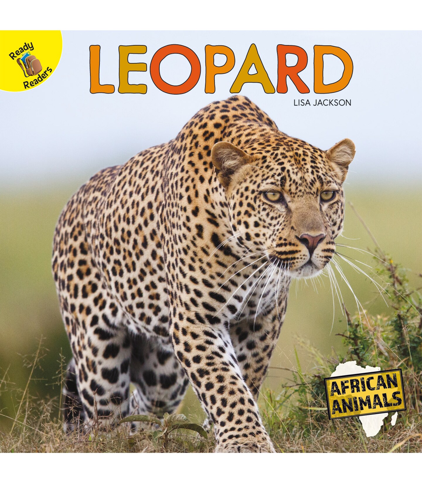 Rourke Educational Media African Animals Leopard Reader