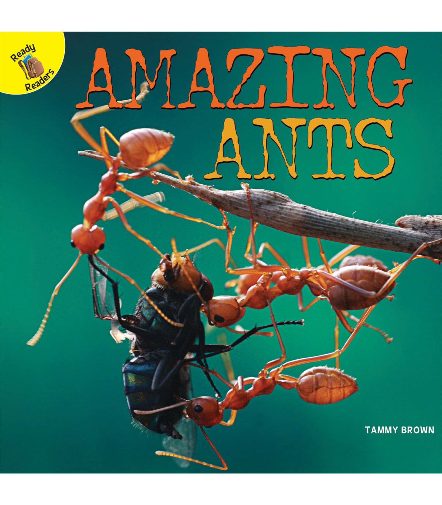 Rourke Educational Media Amazing Ants Reader