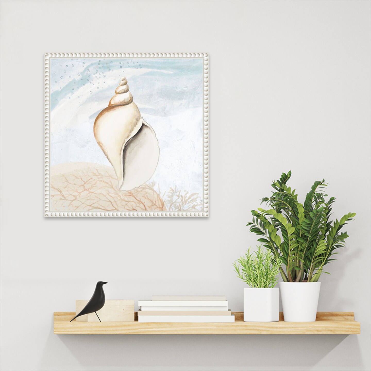 Ocean Oasis Tropical Seashell I by Patricia Pinto Framed Canvas Wall Art