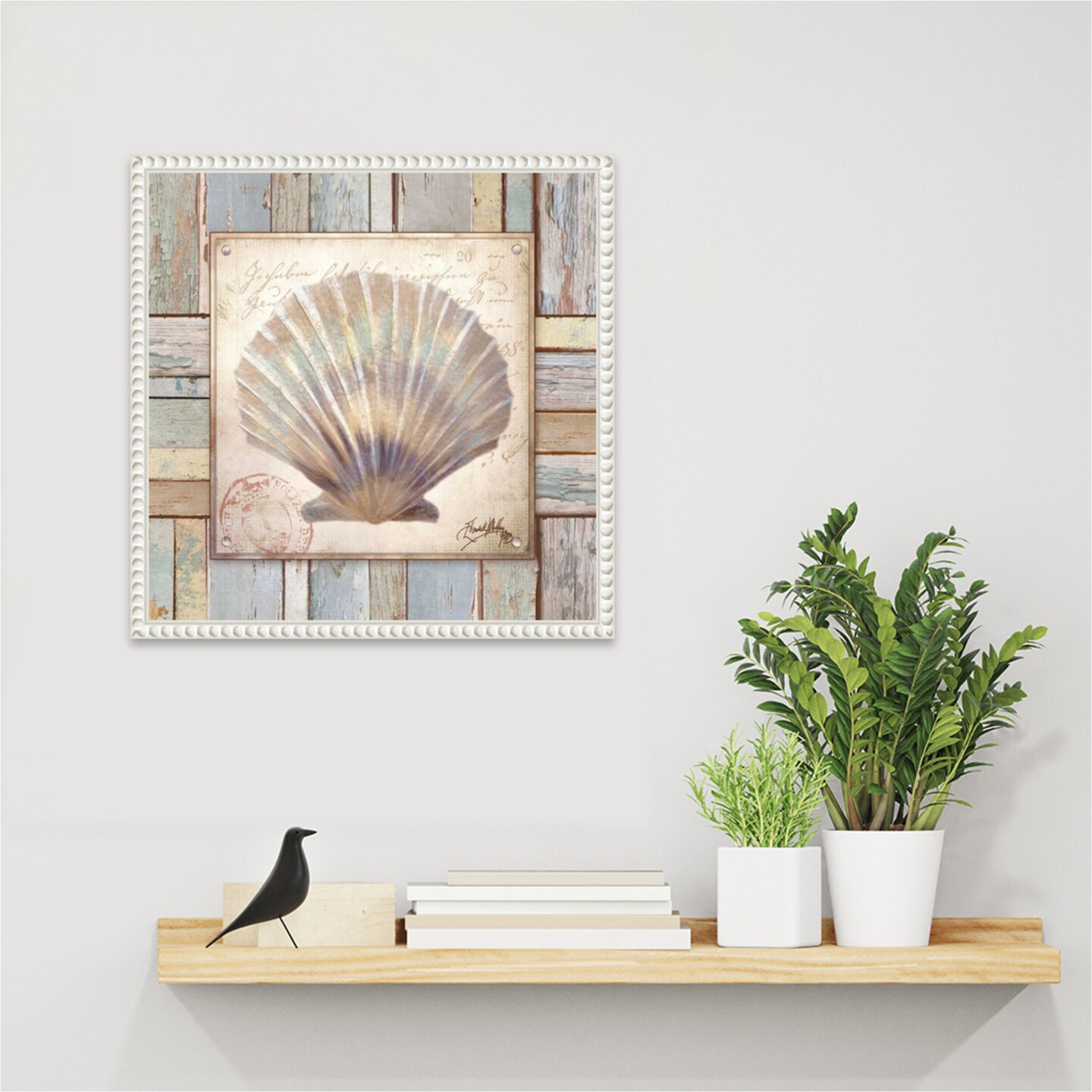 Beach Shell I by Elizabeth Medley Framed Canvas Wall Art