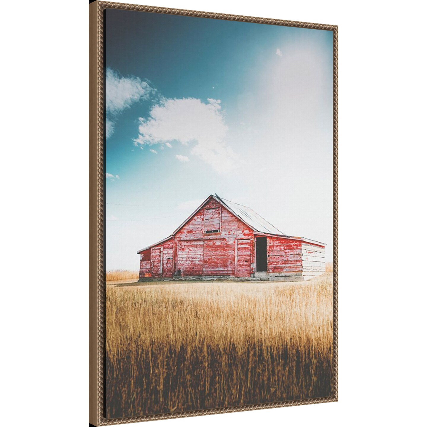 Restoration by Annie Bailey Art Framed Canvas Wall Art