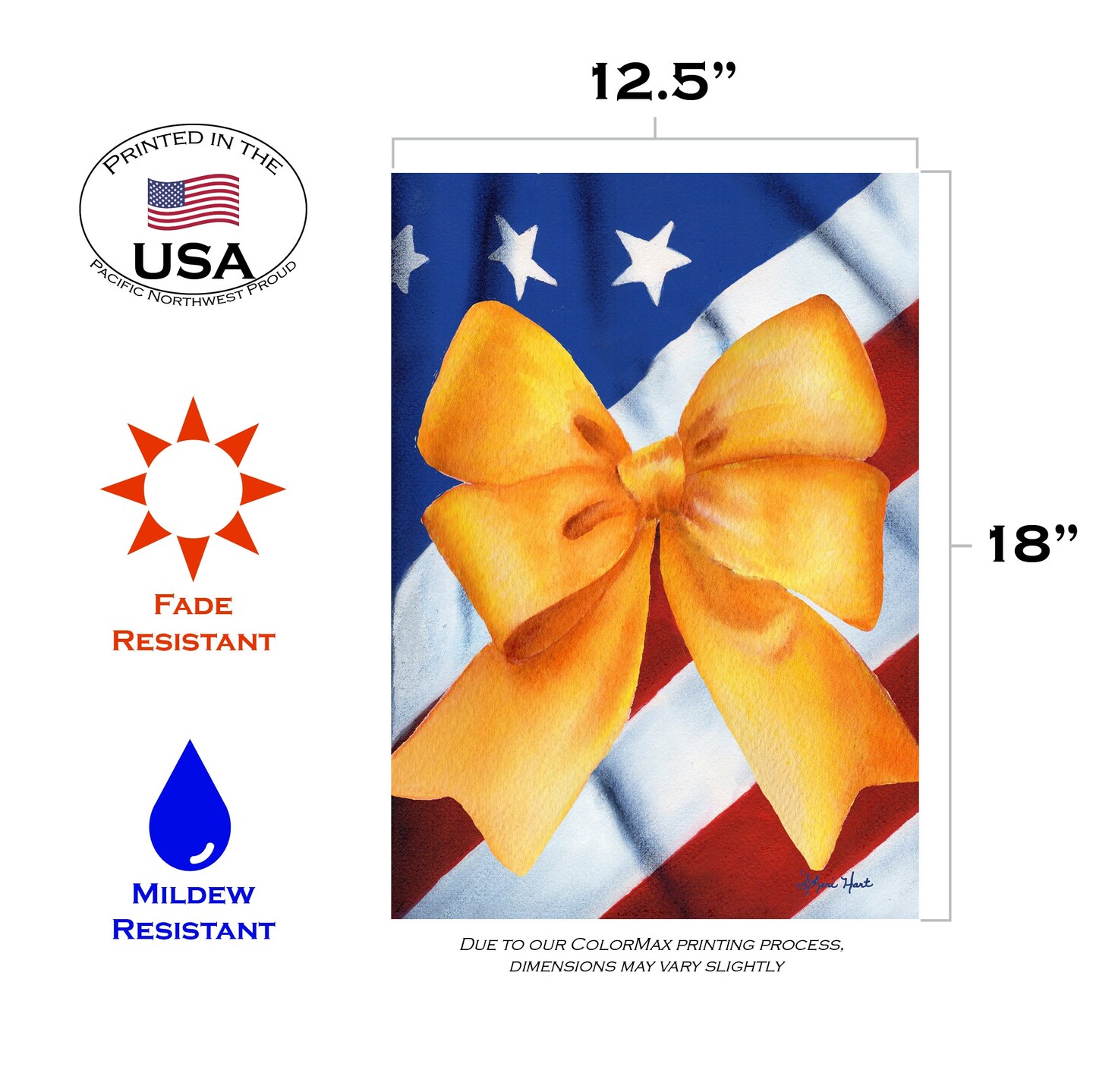 USA Strong Decorative Patriotic Flag