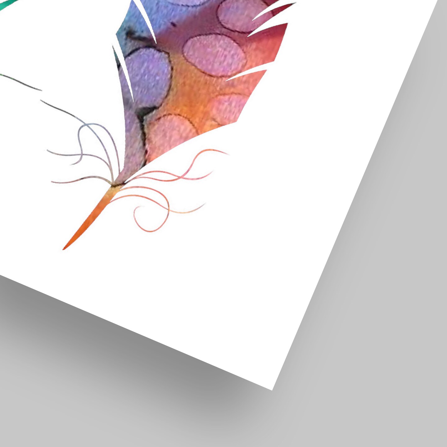 Watercolor Feathers by Lisa Nohren  Poster Art Print - Americanflat