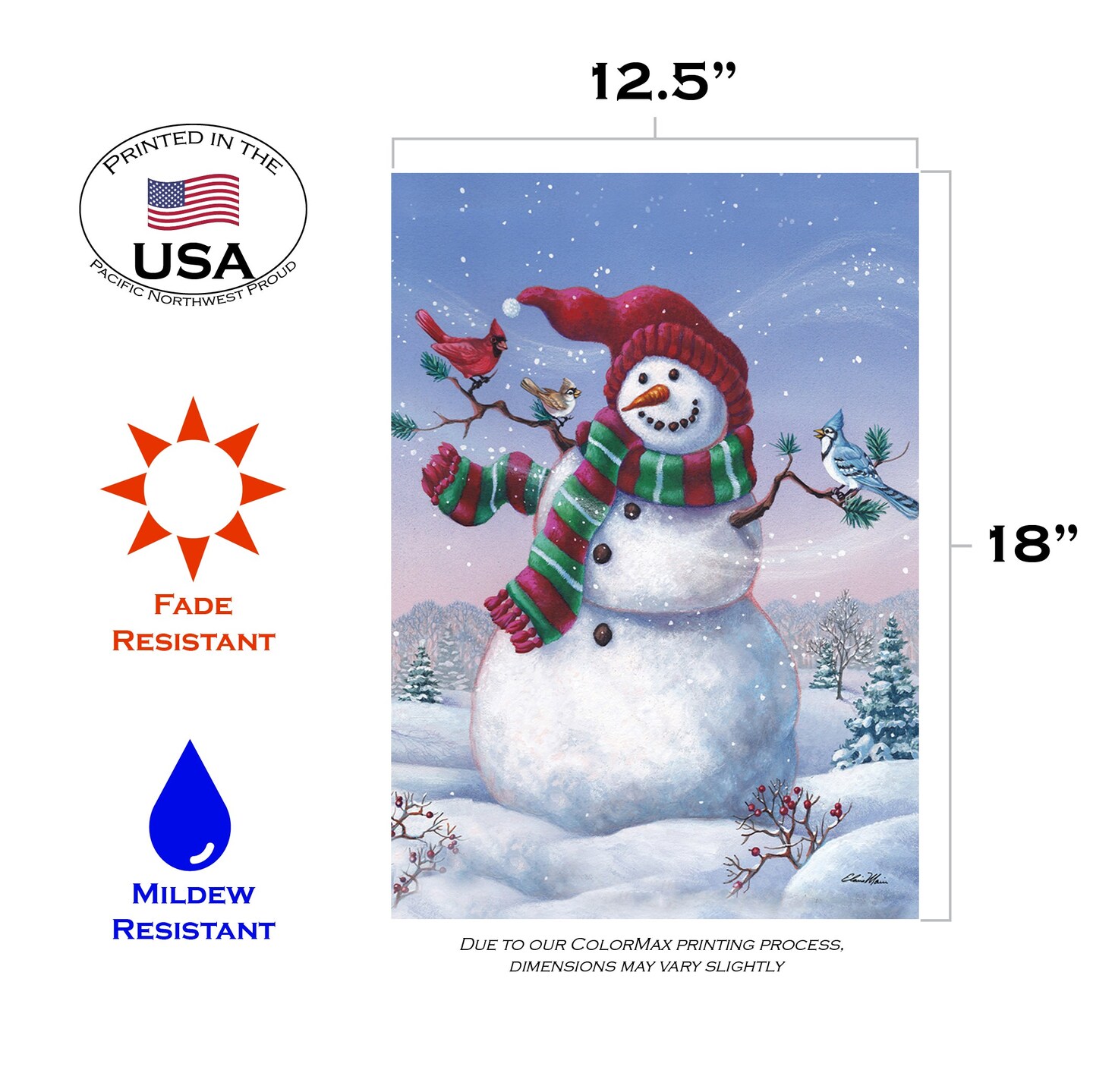 Snowy Birdy Buddy Decorative Winter Flag