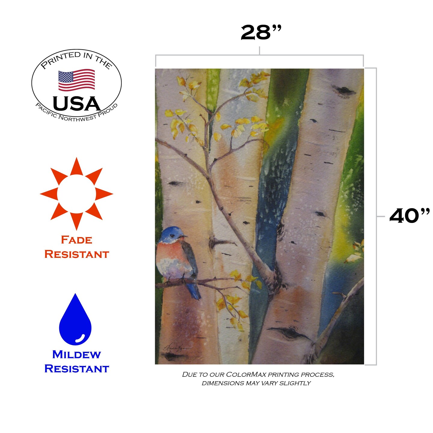 Birch Perch Decorative Bird Flag