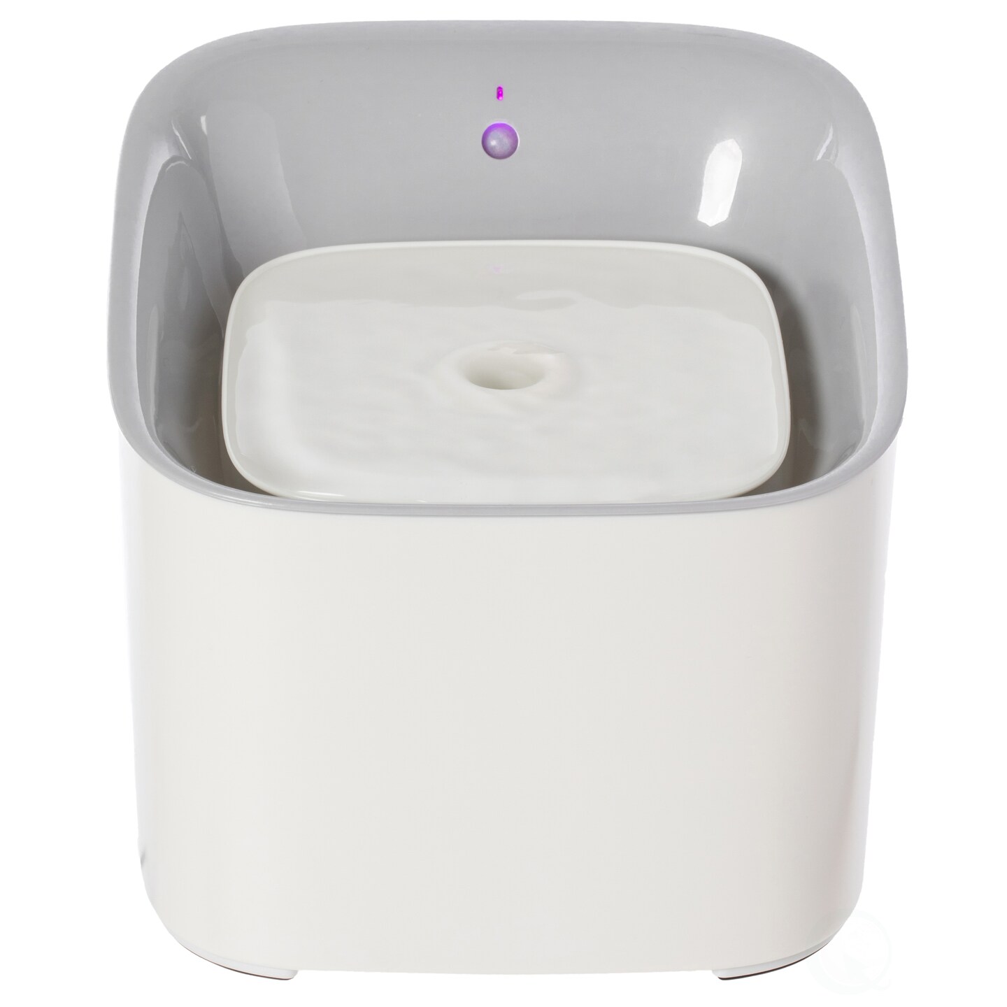 Plastic White Motion Sensor Pet, Dog or Cat Water Drinking Fountain, 3 Liter Capacity