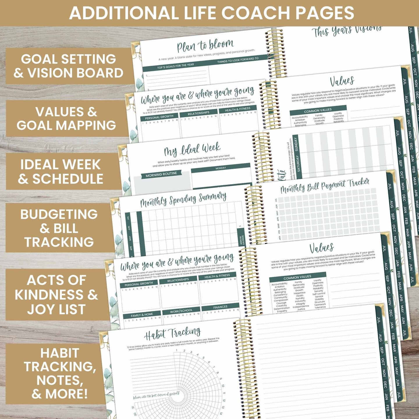 bloom daily planners 2024-25 Vision Planner, 7.5&#x22; x 9&#x22;, Eucalyptus, White