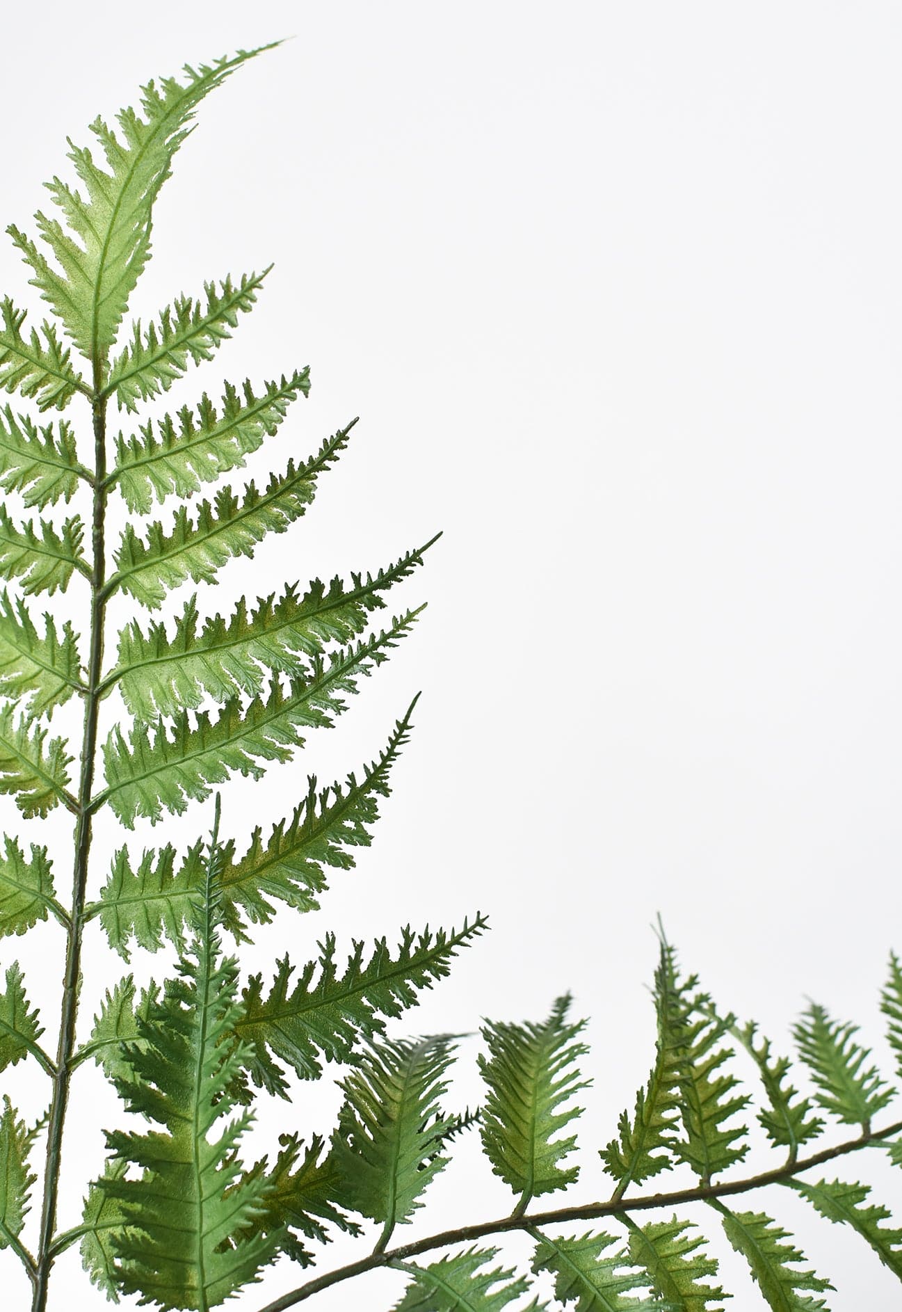 22&#x22; Faux Forest Fern Stem Bundle