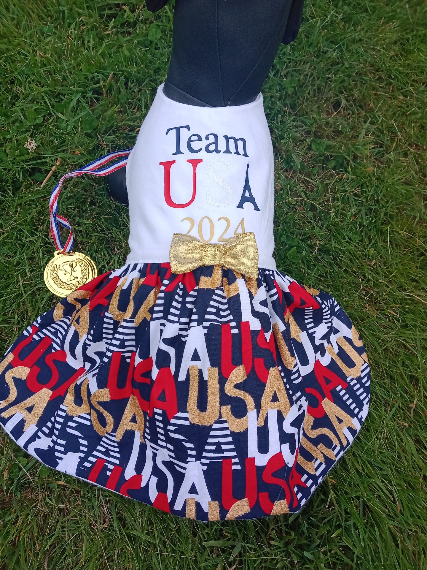 Summer Olympics' 2024, Olympic dog dress, Team USA dog dress, Paris ...