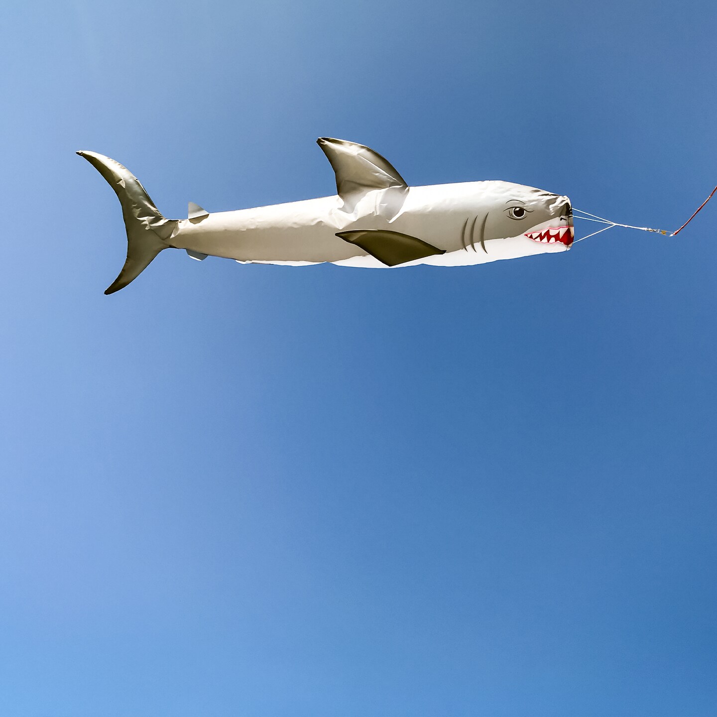 In the Breeze 5160 - Shark 48&#x22; Fish Windsock - Realistic Shark Fishsock