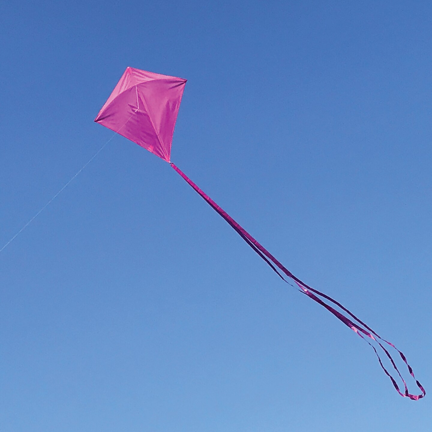 In the Breeze 3295 - Grape 30 Inch Diamond Kite - Solid Purple, Fun, Easy Flying Kite
