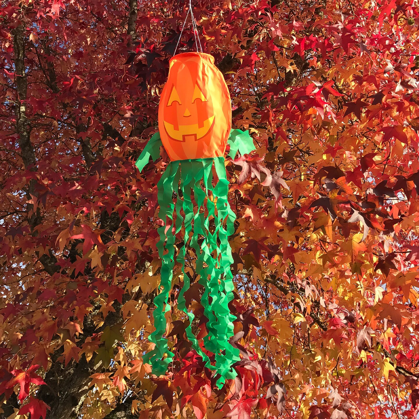 In the Breeze Jack O&#x27; Lantern 40 inch 3D Windsock