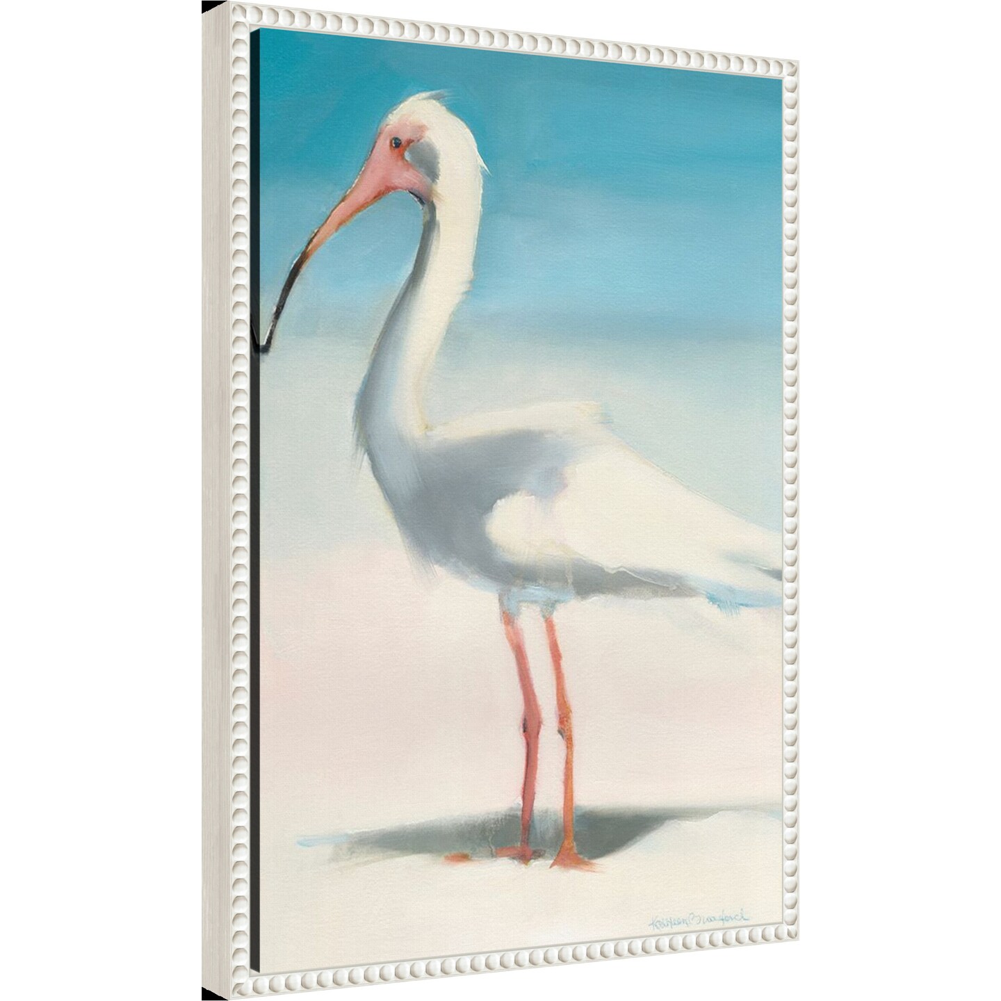 Boca Ibis by Kathleen Broaderick Framed Canvas Wall Art