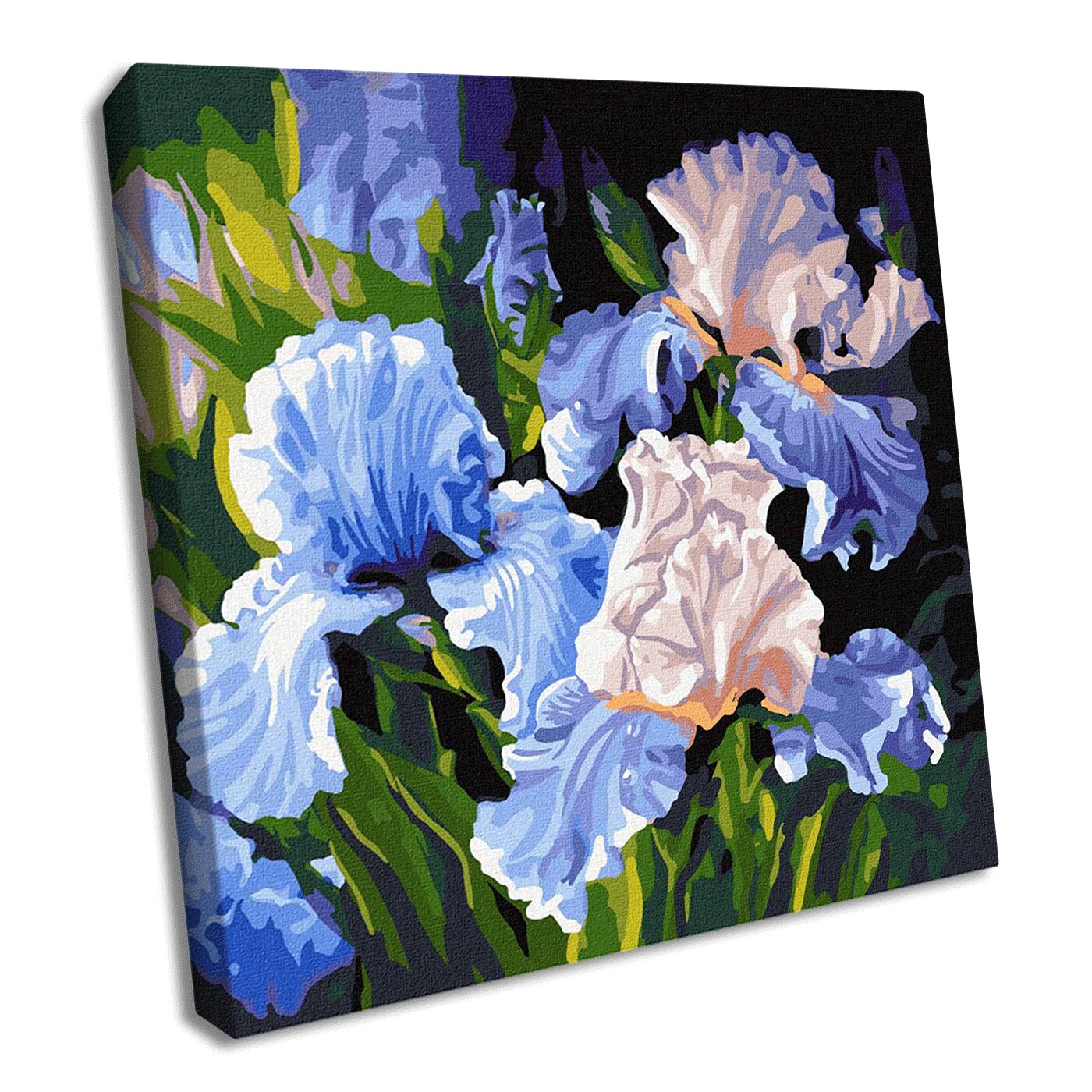 Painting by Numbers kit Bright irises KHO3190