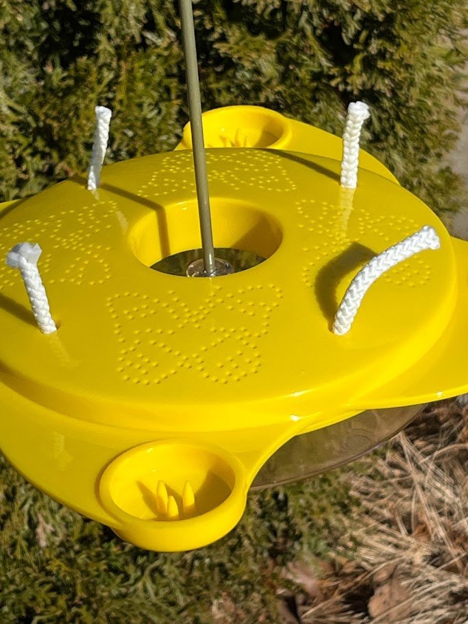 Butterfly Feeder