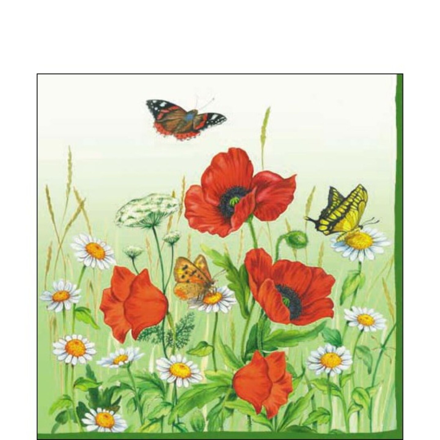 The Ribbon People Pack of 60 Poppys in Field  3-Ply Cocktail Napkins 5&#x22;