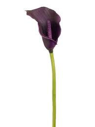 Allstate 20&#x22; Eggplant Purple Calla Lily Artificial Floral Stem