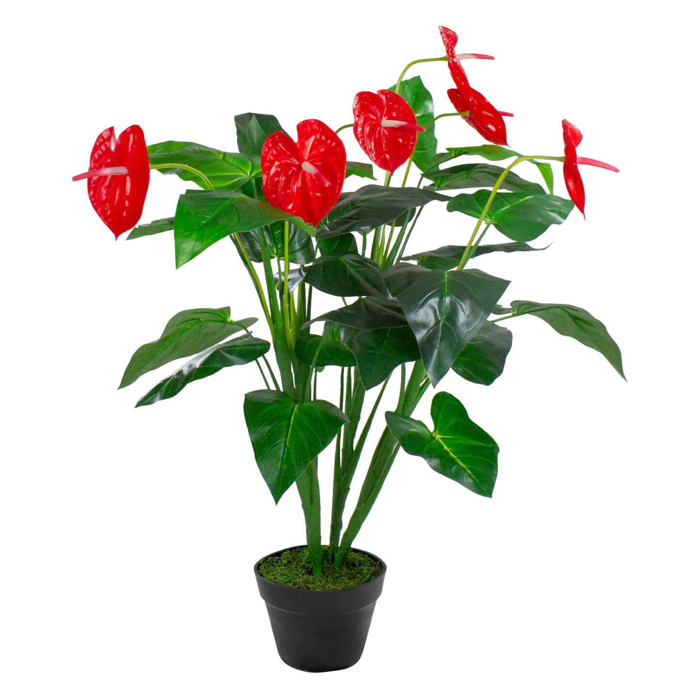 Northlight Potted Tropical Artificial Anthurium Plant in Pot - 41&#x22;