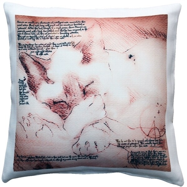 Pillow Decor   - Sleeping Siamese Cat Pillow 17x17