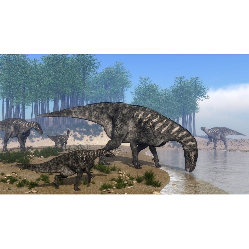 Iguanodon Dinosaurs Herd At The Shoreline - 3D Render Poster Print