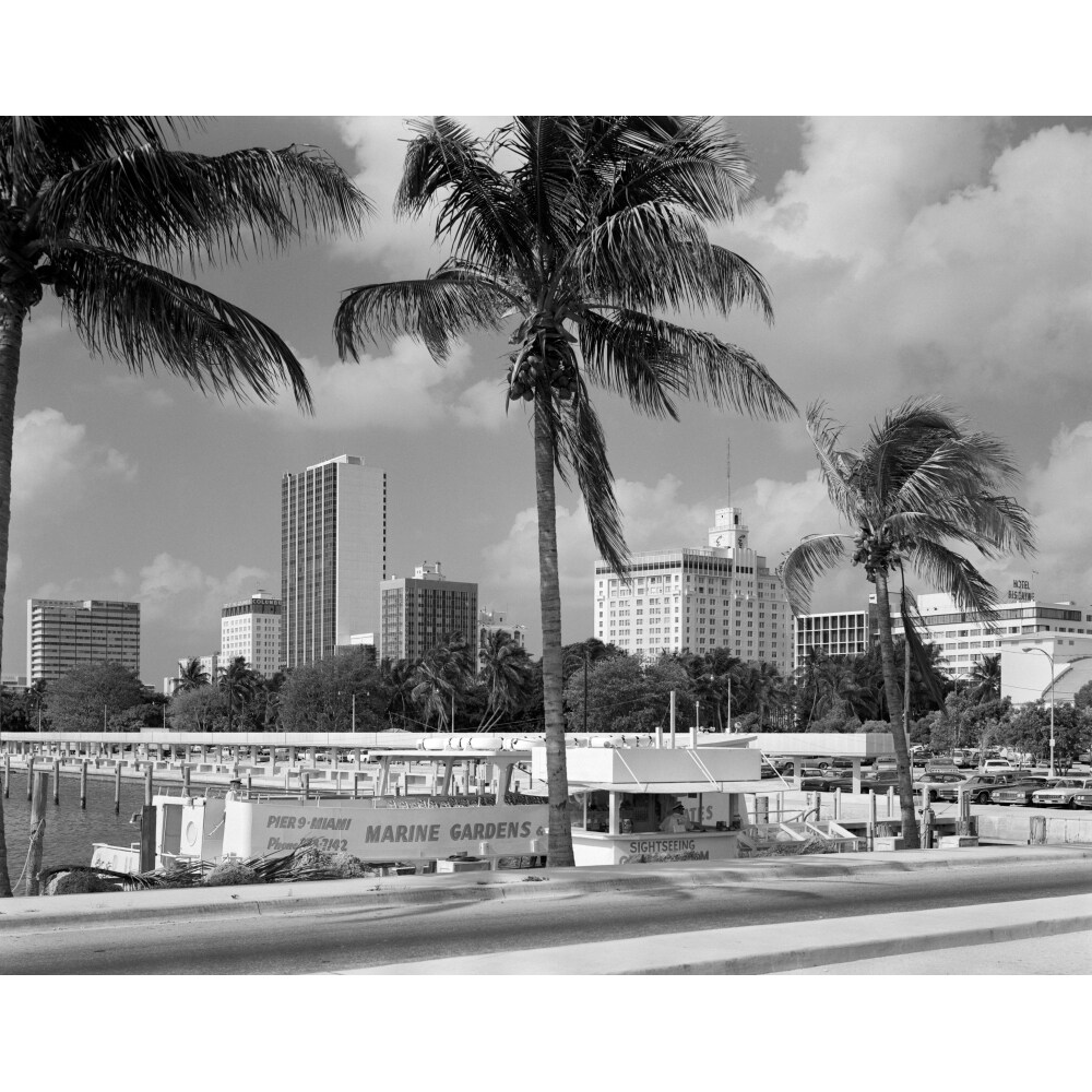 1970S Sightseeing Boat At Pier Day Light Skyline Palm Trees Miami