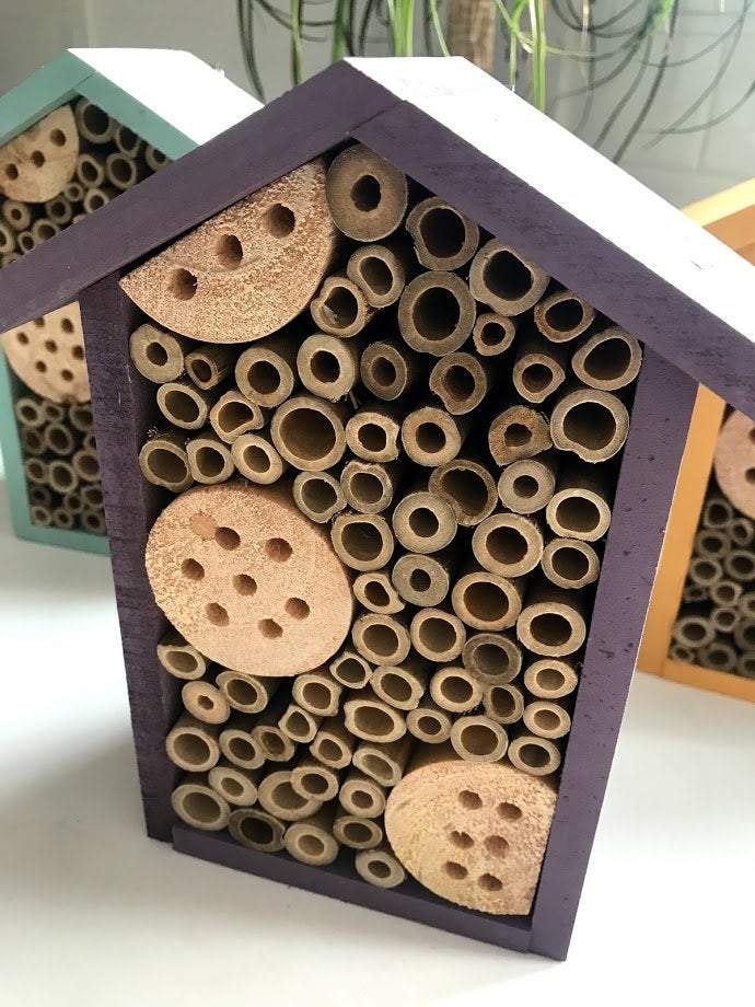 Sunny 1 Room Pollinator House