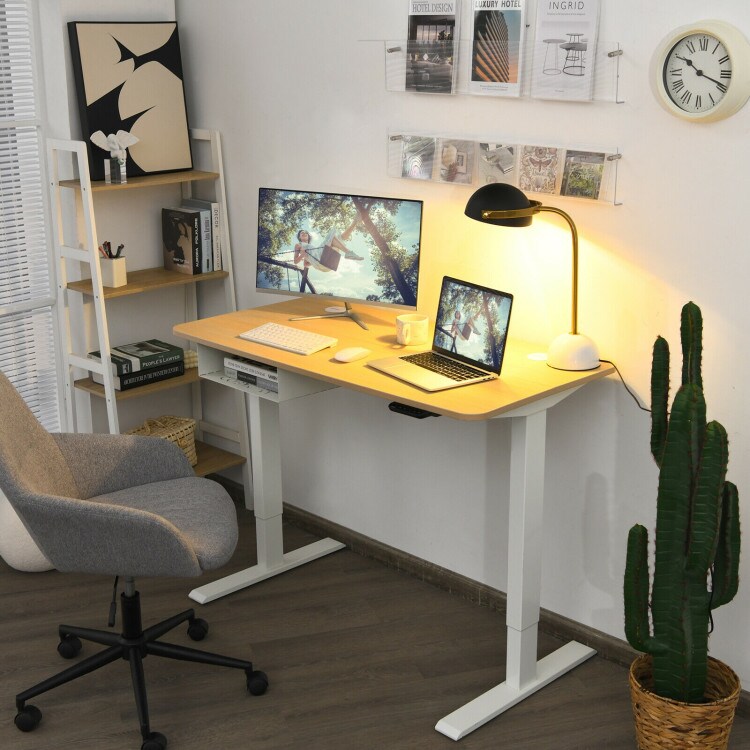 48 Inches Electric Standing Height Adjustable Computer Desk with USB Port and Cable Management tray