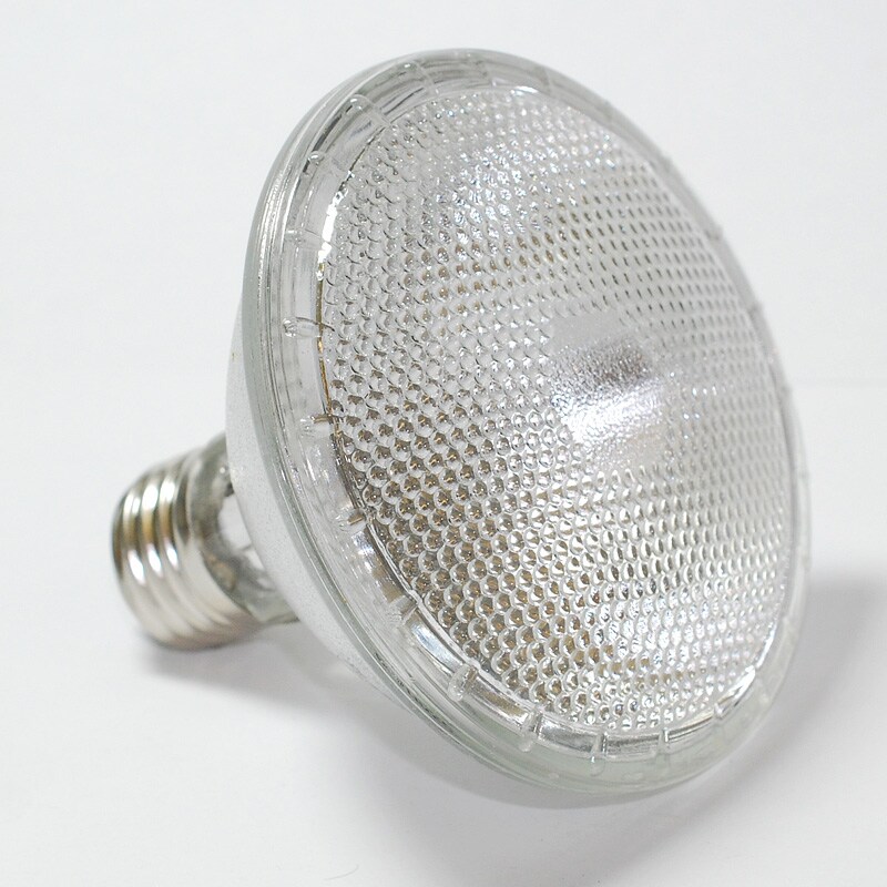 Platinum 39W 120V PAR30 Flood Halogen Bulb