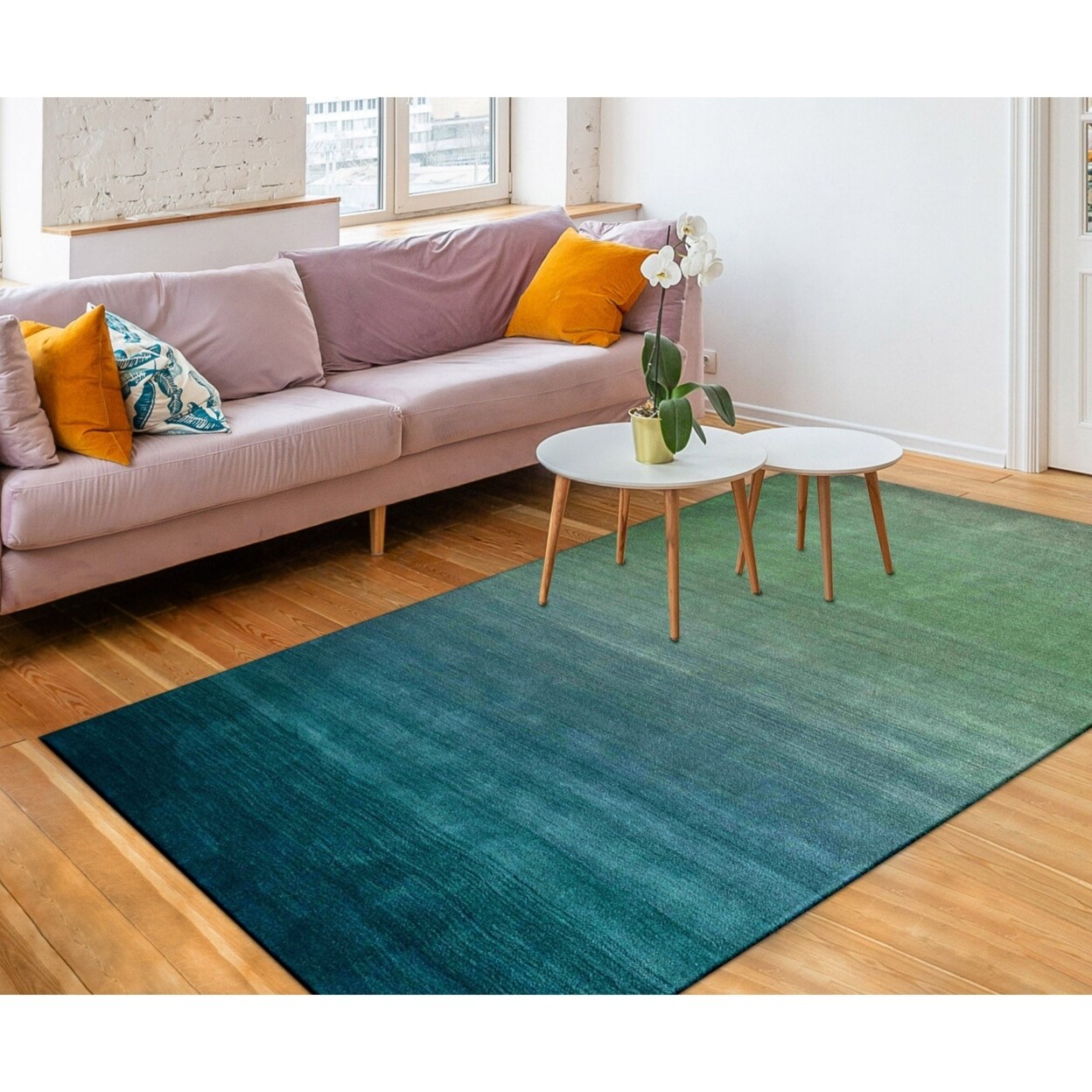 The Rug Department Liora Manne Arca Ombre Indoor Area Rug Aqua
