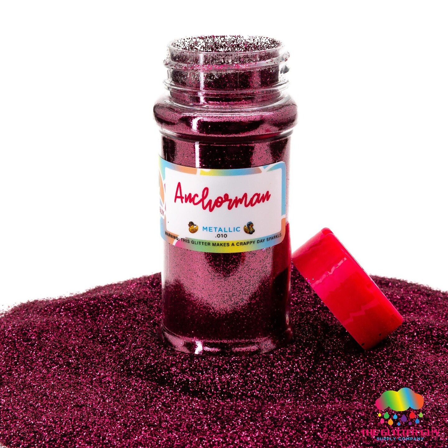 The Glitter Guy 100ml Glitter Shaker-Anchorman | Michaels