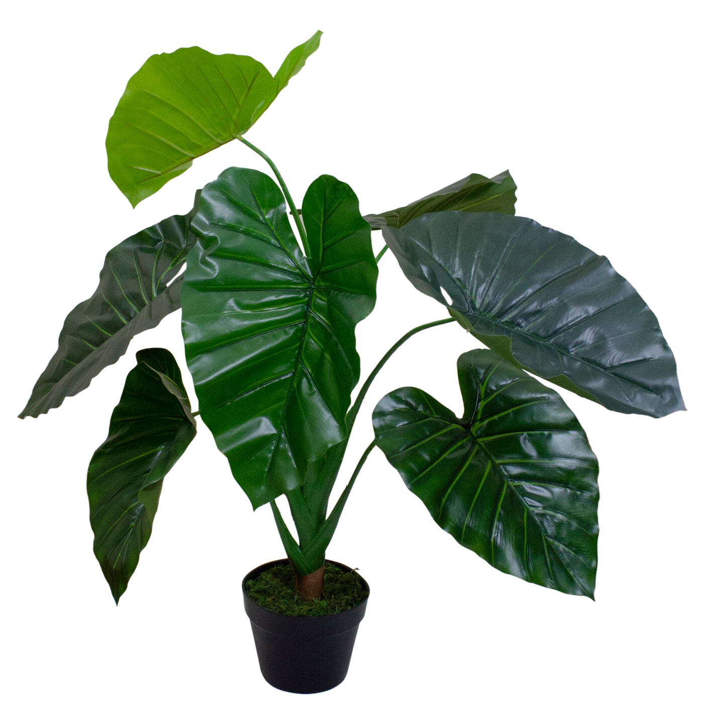 Northlight 40" Green Artificial Taro Potted Plant Michaels