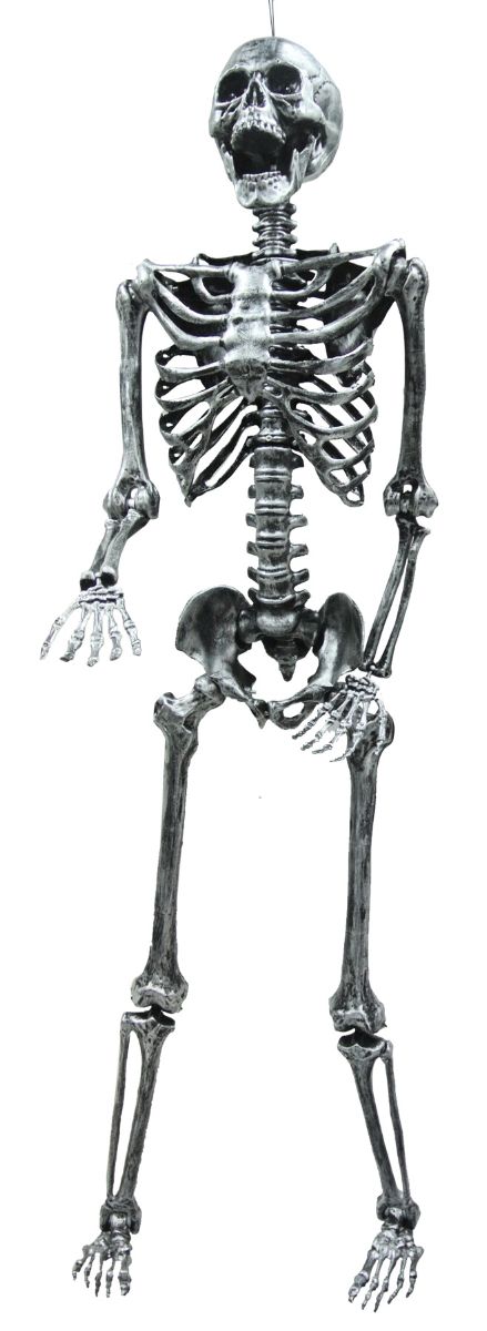 The Costume Center 60&#x22; Charcoal Gray Skeleton Hanging Halloween Prop