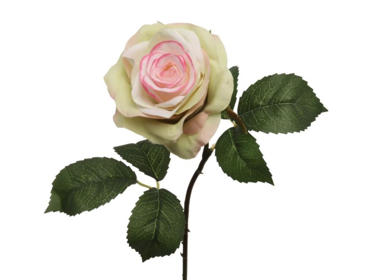 48-Pack: Green Pink Open Rose Stem with Silk Foliage by Floral Home&#xAE;