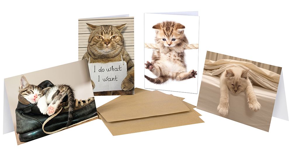 Great Papers! Thank You Note Cards with Kraft Envelopes, Kitty Thoughts, 4 Designs, 4.875&#x22; x 3.375&#x22;(folded), 20 Note Cards and Kraft Envelopes (5 of each design)