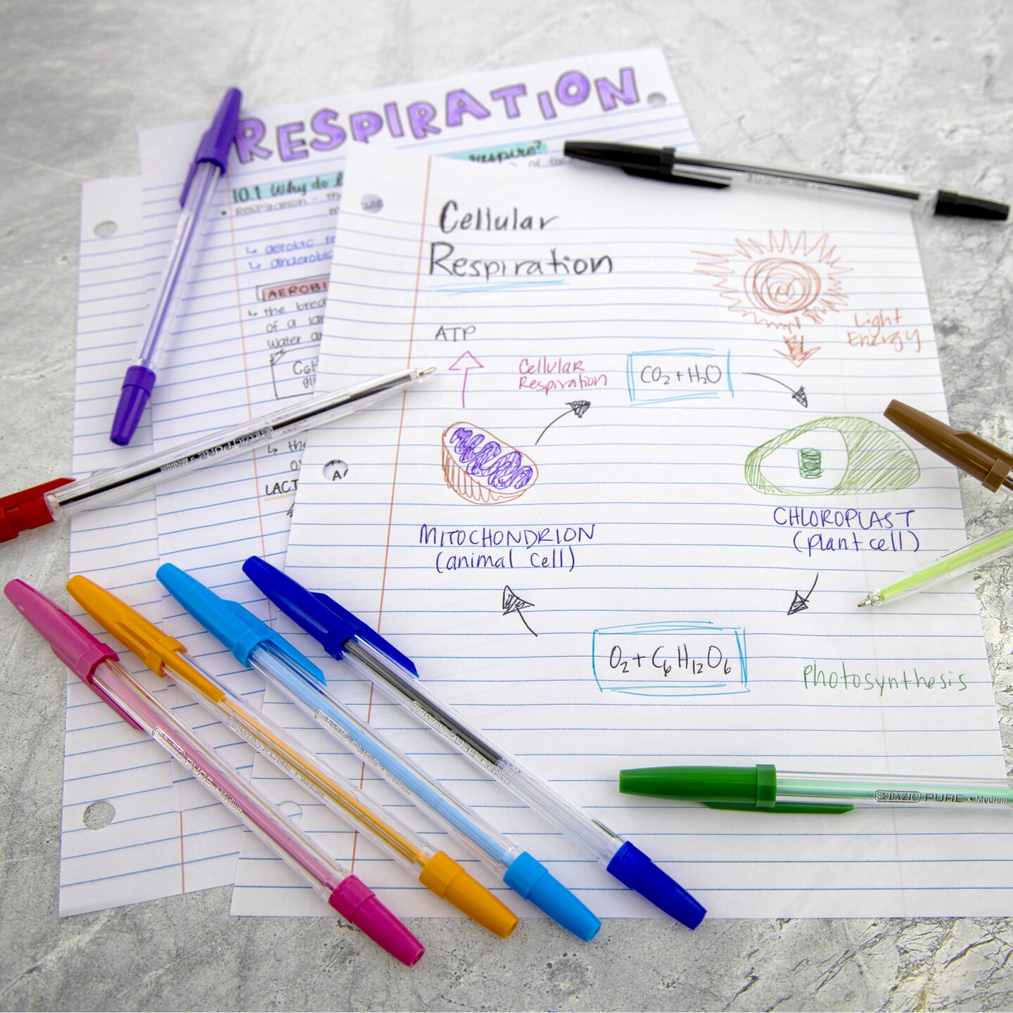 BAZIC 10 Pure Neon Color Stick Pen