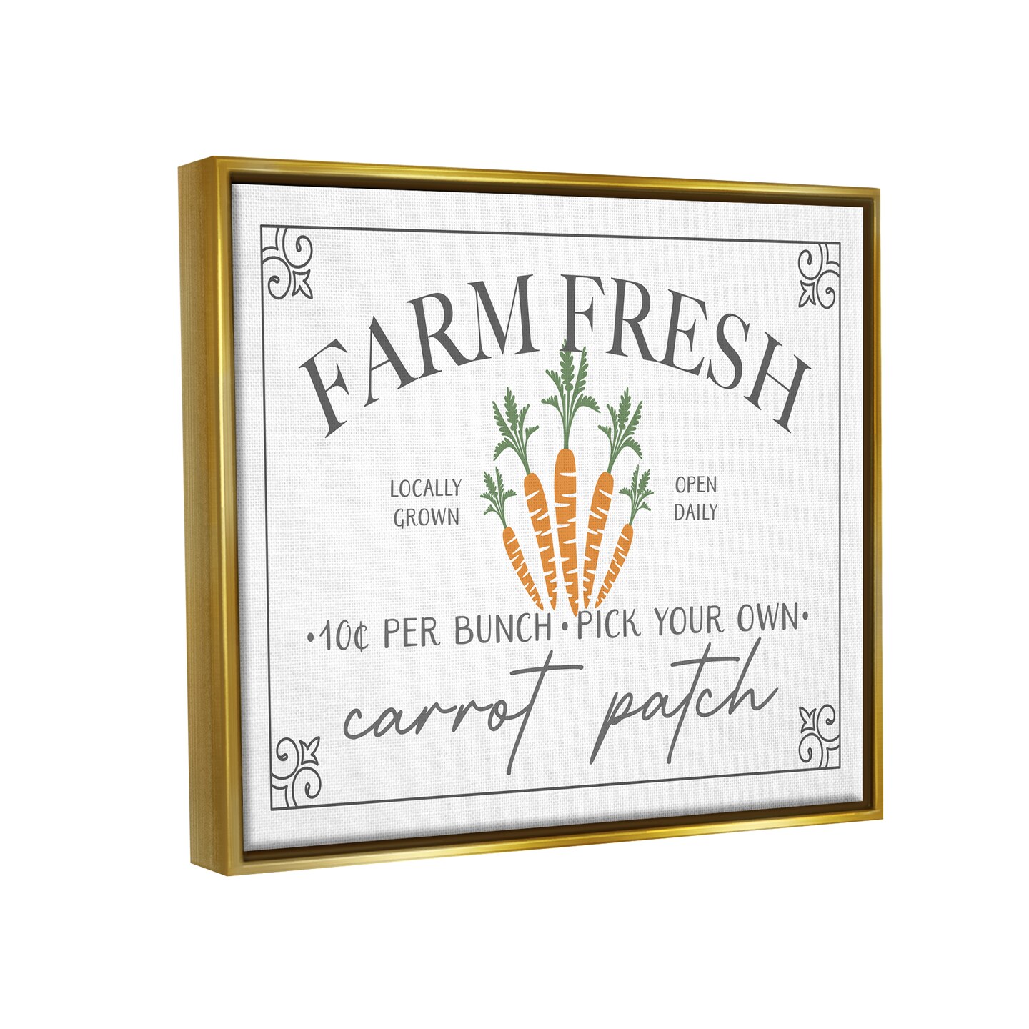 Stupell Industries Farm Fresh Carrot Patch Black Framed Floater Canvas Wall Art