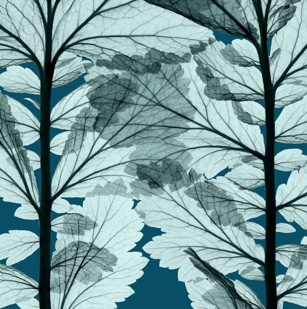 Leaf Forest - Blue Poster Print by Steven N. Meyers - Item # VARPDXSM336B