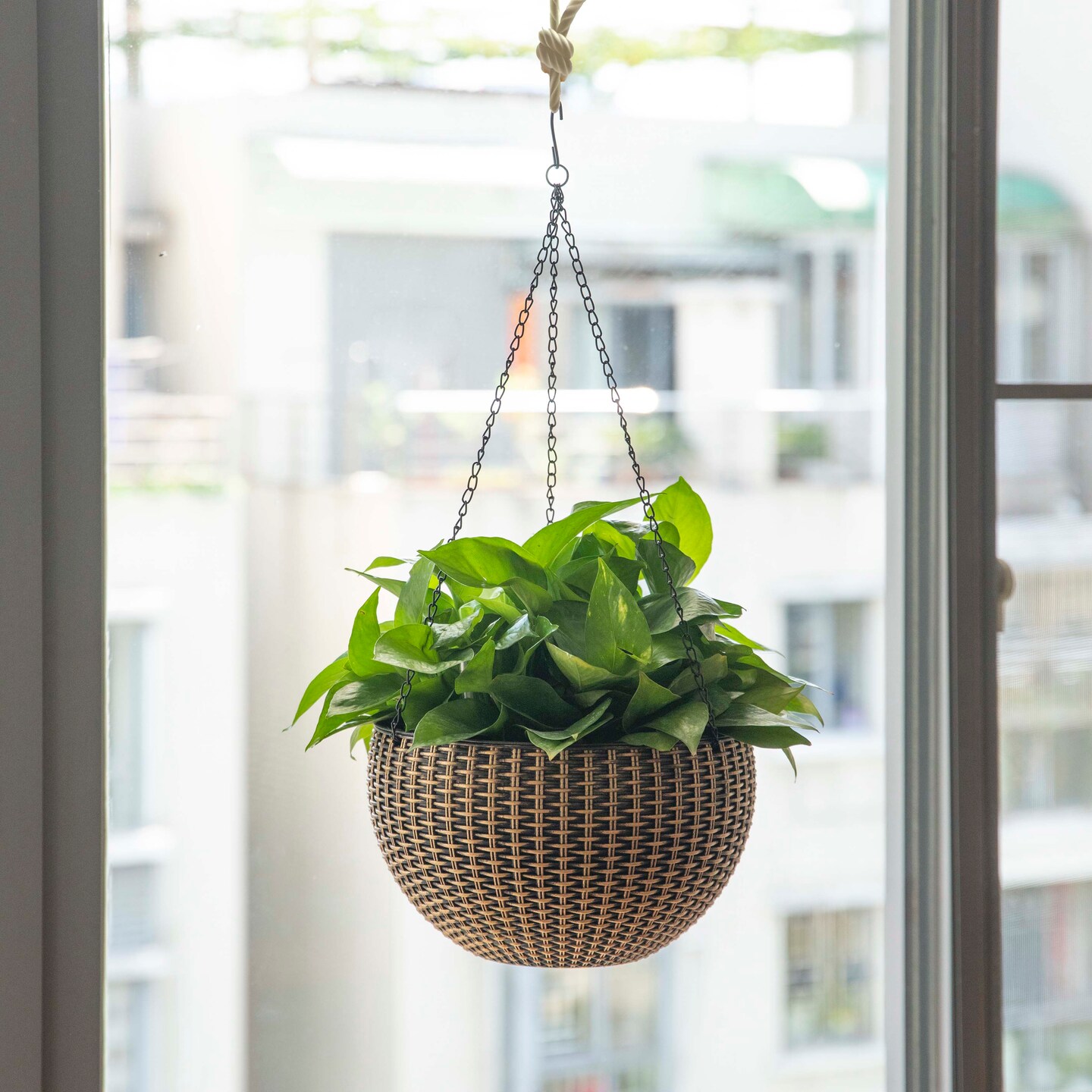 10&#x22; Self Watering Bronze Hanging Basket Flower Planter