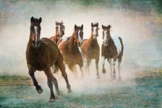 Blaze of Glory Poster Print by Wendy Caro - Item # VARPDX16416