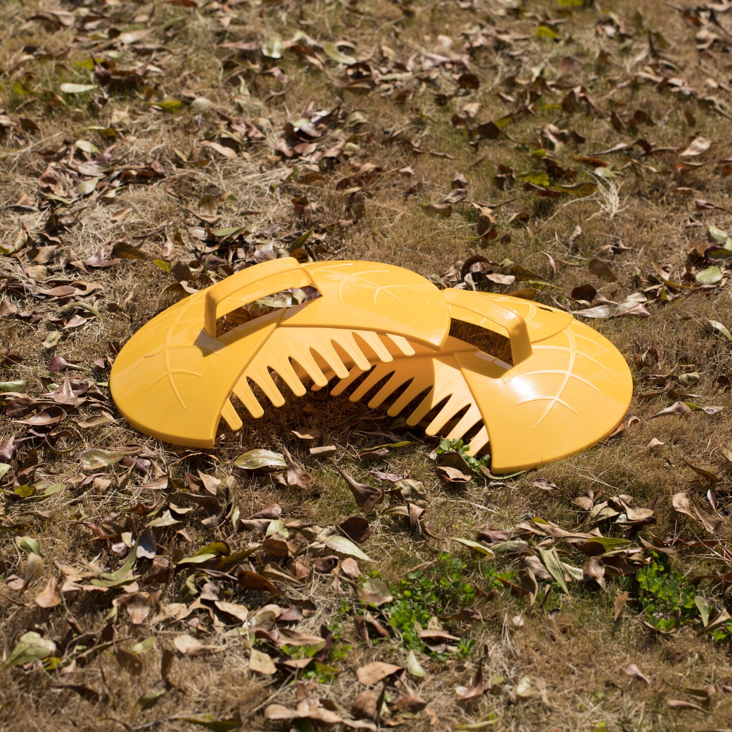 Decorative Pair of Leaf Scoops, Hand Rakes for Lawn and Garden Cleanup