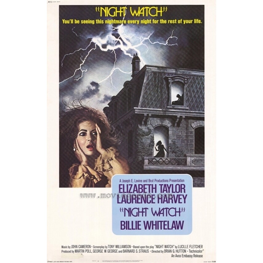Pop Culture Graphics Night Watch Movie Poster Print (27 x 40) - Item  MOVEF9434