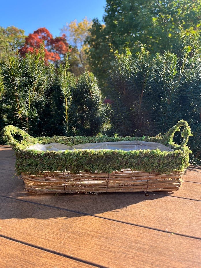 Rectangular Planter Natural MOSS & Wicker Michaels